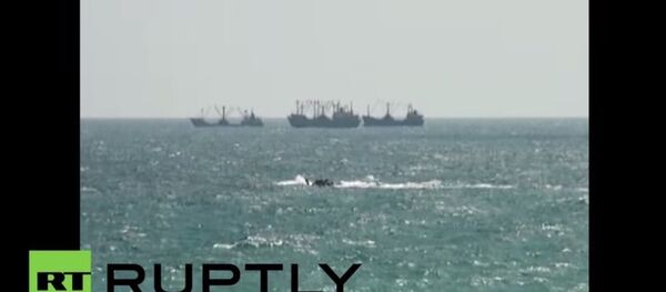 İstanbul'da iki gemi çarpıştı - Sputnik Türkiye