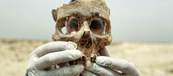 İnsan kafatası - Sputnik Türkiye