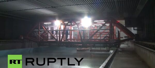 Arktika - Sputnik Türkiye