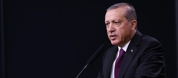 Cumhurbaşkanı Recep Tayyip Erdoğan - Sputnik Türkiye