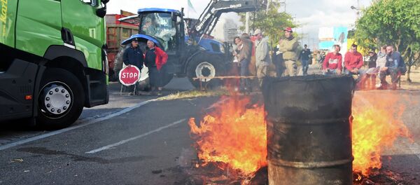 Fransız çiftçiler eylemde - Sputnik Türkiye