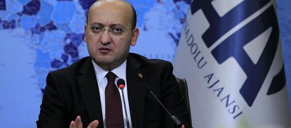 Başbakan Yardımcısı Yalçın Akdoğan - Sputnik Türkiye
