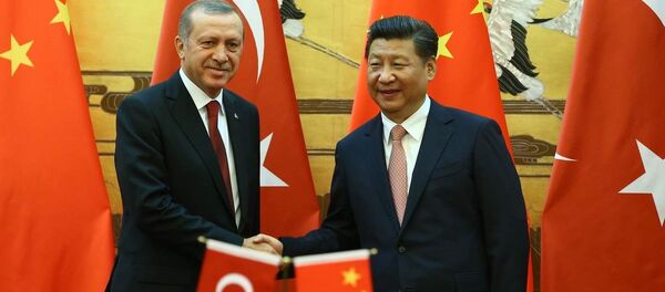 Recep Tayyip Erdoğan & Şi Cinping - Sputnik Türkiye
