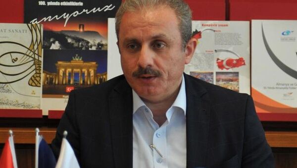 AK Parti Genel Başkan Yardımcısı Mustafa Şentop - Sputnik Türkiye