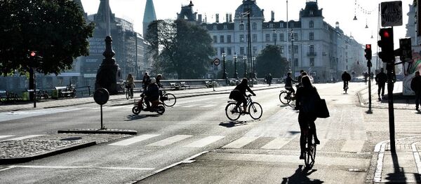 Danimarka - Sputnik Türkiye