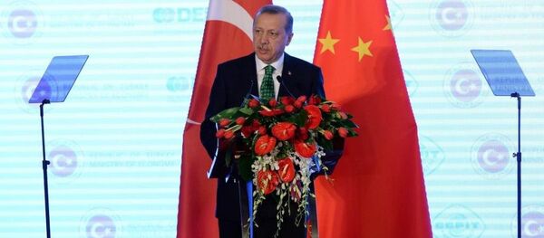 Cumhurbaşkanı Recep Tayyip Erdoğan - Sputnik Türkiye