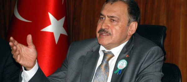 Veysel Eroğlu - Sputnik Türkiye