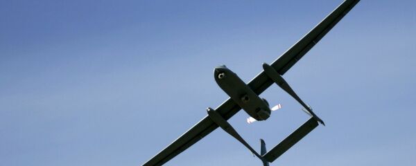 İsrail'a ait bir İHA - Sputnik Türkiye