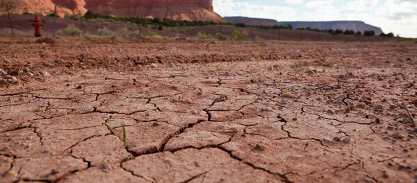 Kuraklık - Sputnik Türkiye