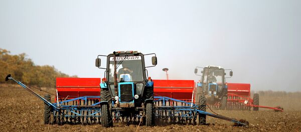 Traktör - Sputnik Türkiye