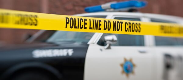 ABD polisi - Sputnik Türkiye