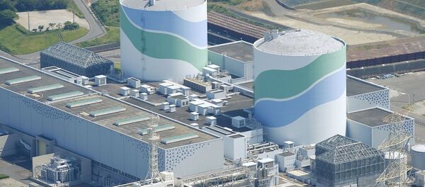 Japonya - Sendai nükleer güç santrali - Sputnik Türkiye