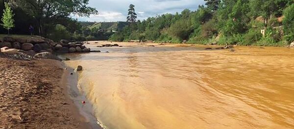 ABD’nin Colorado Eyaleti’ndeki Animas nehri - Sputnik Türkiye