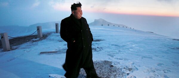 Kim Jong-un - Sputnik Türkiye
