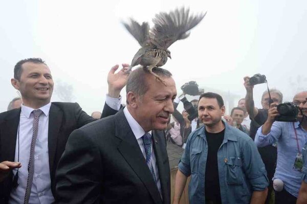 Erdoğan'ın kuşla imtihanı - Sputnik Türkiye