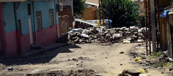 Silvan Silvan - Sputnik Türkiye