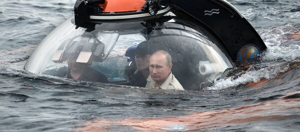 Rusya Devlet Başkanı Vladimir Putin - Sputnik Türkiye