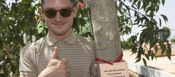 Elijah Wood Antalya'da - Sputnik Türkiye