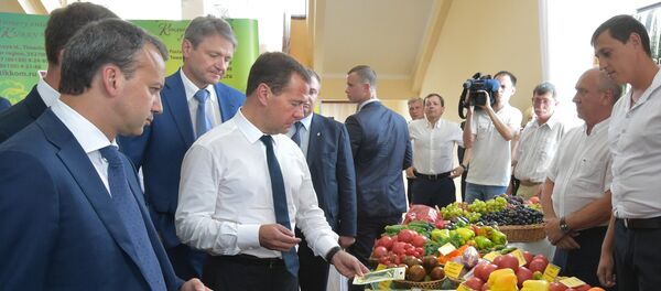 Aleksandr Tkaçev, Dmitry Medvedev - Sputnik Türkiye