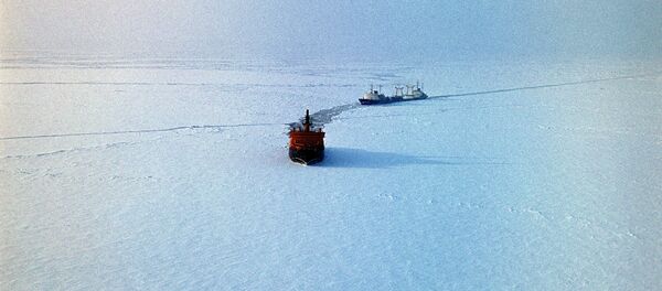 Arktika - Sputnik Türkiye