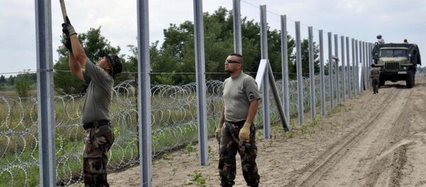 Macaristan - Sırbistan sınırı - Sputnik Türkiye