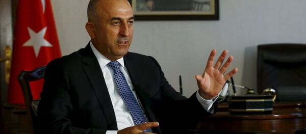 Mevlüt Çavuşoğlu - Sputnik Türkiye