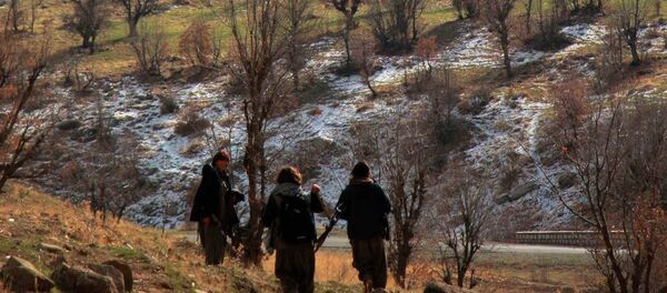 PKK Kandil - Sputnik Türkiye