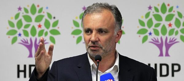 HDP Parti Sözcüsü Ayhan Bilgen - Sputnik Türkiye