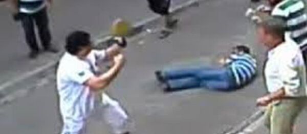 İrlandalı boksör - Sputnik Türkiye