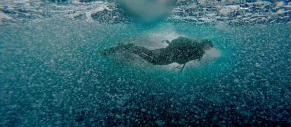 İstanbul'un denizleri ‘hayalet ağ’lardan temizleniyor İstanbul'un denizleri ‘hayalet ağ’lardan temizleniyor - Sputnik Türkiye