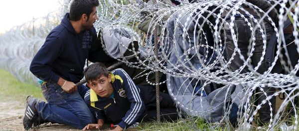 Sırbistan - Macaristan - Sınır - Göçmen - Sputnik Türkiye