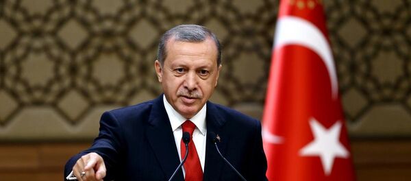 Cumhurbaşkanı Recep Tayyip Erdoğan Cumhurbaşkanı Recep Tayyip Erdoğan - Sputnik Türkiye