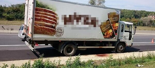 50 kaçak göçmen bir kamyonda ölü bulundu - Sputnik Türkiye