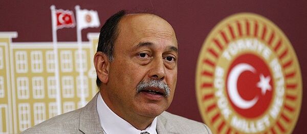 HDP İstanbul Milletvekili Levent Tüzel - Sputnik Türkiye