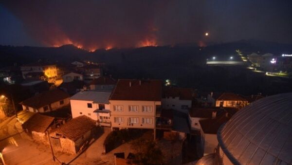 Bursa'da orman yangını - Sputnik Türkiye