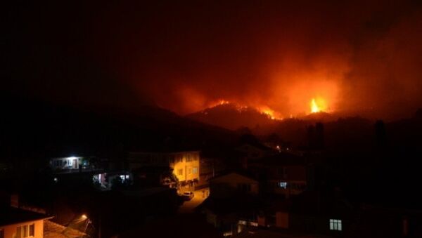 Bursa'da orman yangını  - Sputnik Türkiye