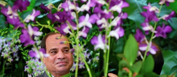 Mısır Cumhurbaşkanı Abdulfettah El Sisi - Sputnik Türkiye