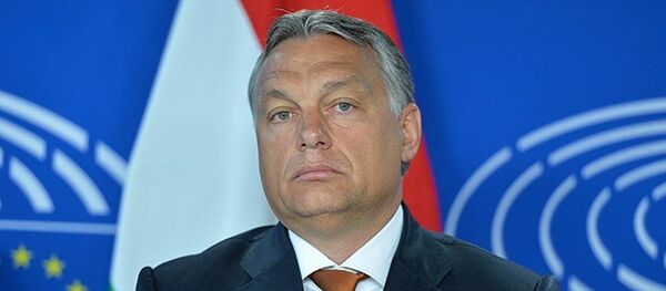 Macaristan Başbakanı Viktor Orban - Sputnik Türkiye