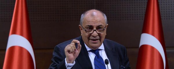 Tuğrul Türkeş - Sputnik Türkiye