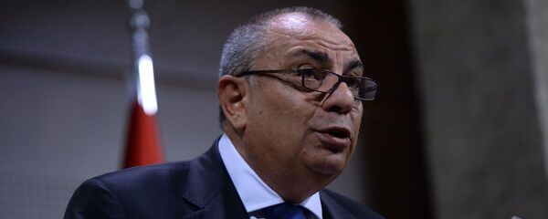 Tuğrul Türkeş - Sputnik Türkiye