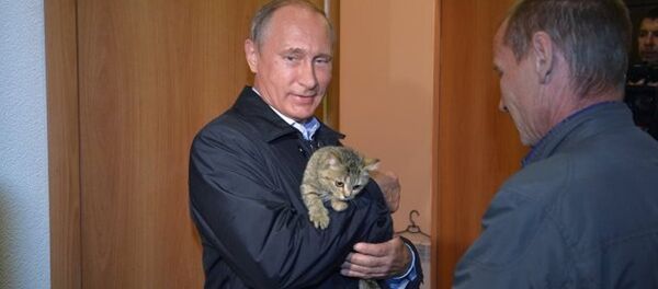 Rusya Devlet Başkanı Vladimir Putin - Sputnik Türkiye