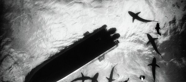 Balıkçı teknesi - Sputnik Türkiye