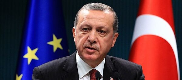 Cumhurbaşkanı Recep Tayyip Erdoğan - Sputnik Türkiye