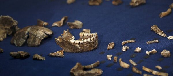 Yeni bir insan türü bulundu: Homo Naledi - Sputnik Türkiye