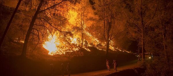 ABD yangın - Sputnik Türkiye