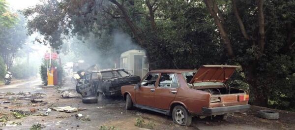 Validebağ Korusu - Sputnik Türkiye