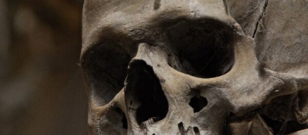 İnsan kafatası İnsan kafatası - Sputnik Türkiye