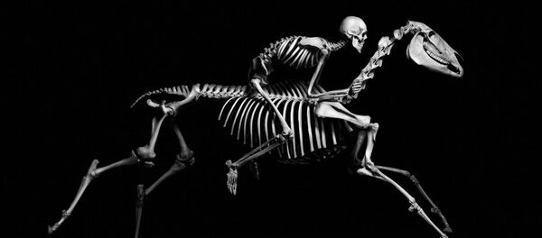 Evrim teorisi Evrim teorisi - Sputnik Türkiye