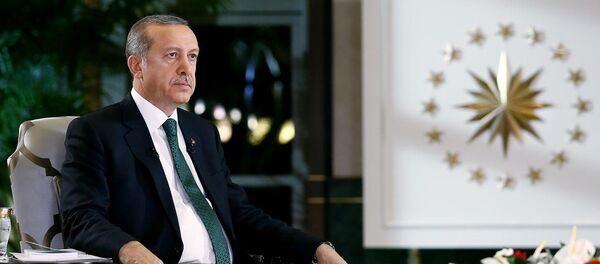 Cumhurbaşkanı Recep Tayyip Erdoğan - Sputnik Türkiye