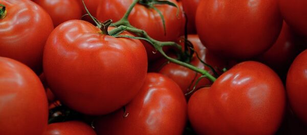 Domates - Sputnik Türkiye